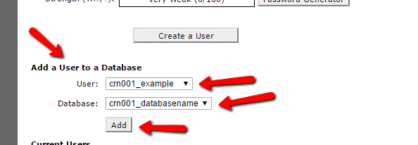 add a user to a database